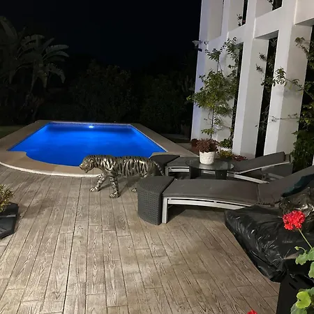 Joelle Marbella
